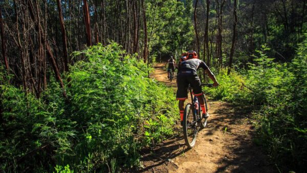 Pre-entries only for Simonsberg Contour MTB Stage Race
