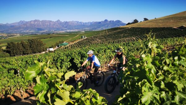 Join Bottelary Hills MTB Trails And Ride For Conservation In 2020