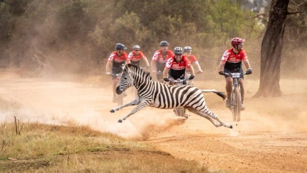 The Dr Evil Classic and Karoo to Coast combination: 4 days of Garden Route bliss