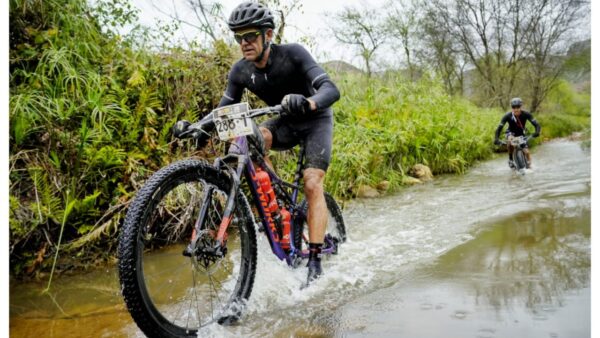 Uncle Fish Best Suited to Damp Trans Baviaans Repeat