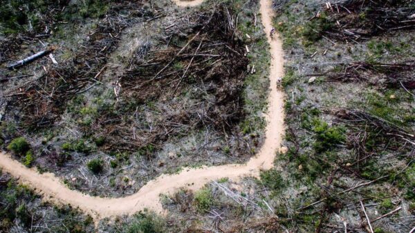 Second annual Fairtree Simonsberg Contour promises even better riding