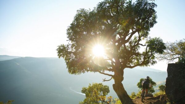 Continued innovation keeps sani2c a step ahead