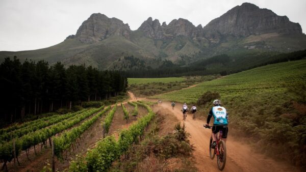 FNB Wines2Whales celebrates the opening of A-2-Z trail in Grabouw