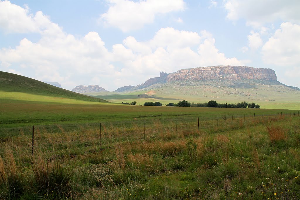 Gravel Grand Prix Series to roam the country roads of South Africa 3 ccs-62657-0-37908500-1528880050.jpg