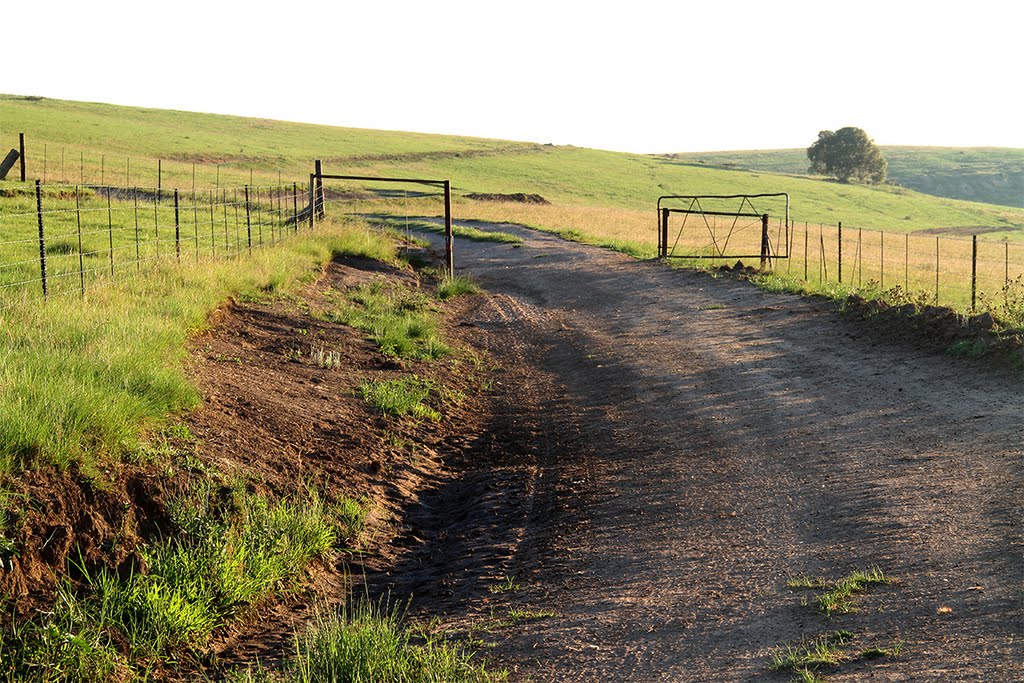 Gravel Grand Prix Series to roam the country roads of South Africa 4 ccs-62657-0-37951100-1528880051.jpg
