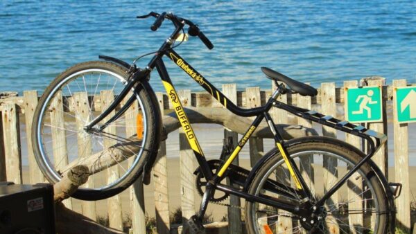 Laureus Sport For Good Foundation and Qhubeka form official partnership