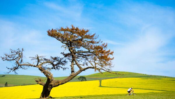 Fedhealth MTB Challenge incorporates the best of Durbanville’s MTB Trails