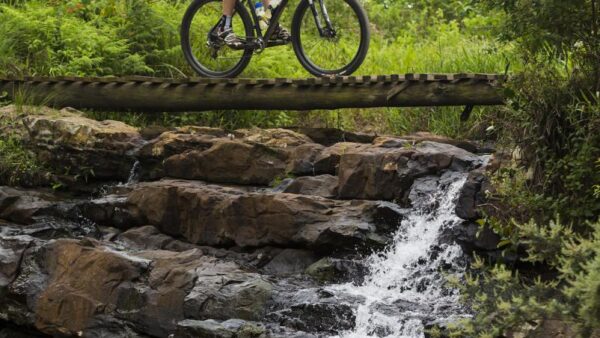 Sharks Trail Adventure returns to picturesque Summerveld this December