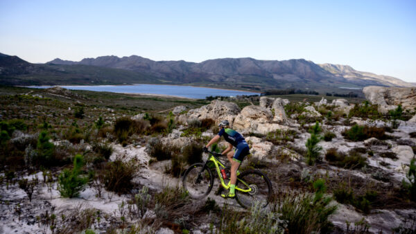 Breaking from tradition, new trails are blazed at Wines2Whales