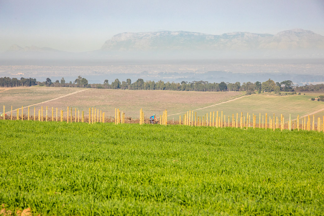 Stellenbosch MTB Challenge and farm run this weekend 3 ccs-62657-0-41804200-1532420392.jpg