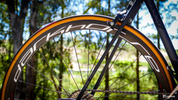 Long Term Review: Darkhorse SLF 36c wheels