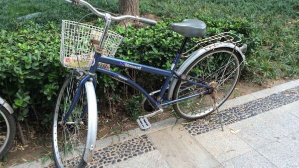 Review: My First Beijing Bike