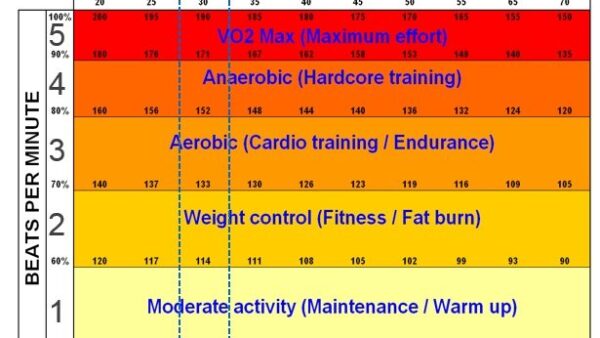 Why should you train with a heart rate monitor?