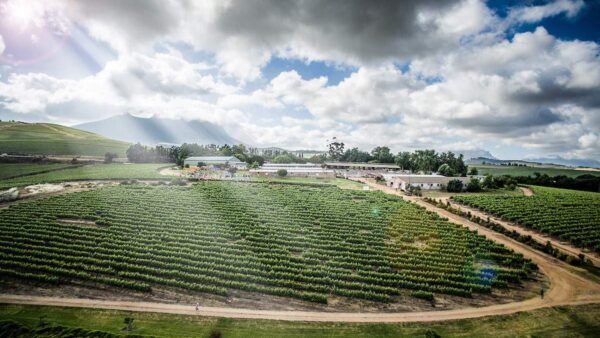Dirtopia invites all to run, bike and hike on Delvera to celebrate relocation
