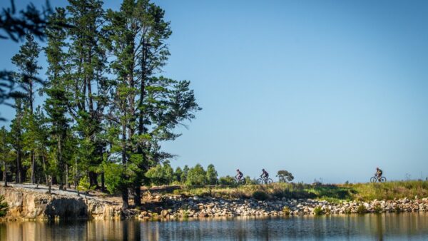Riders treated to spectacular trails and views at FNB W2W MTB Ride Stage One