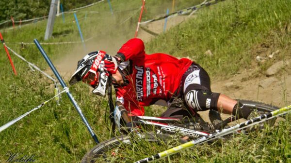 Bull ready to give it horns at Downhill Cup #2