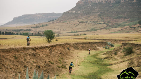 Race Report: Dodging Donkeys at Lesotho Sky