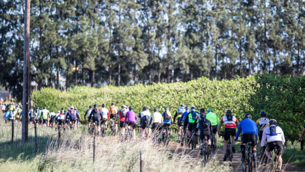Mountain bike funride near Stellenbosch is a classic