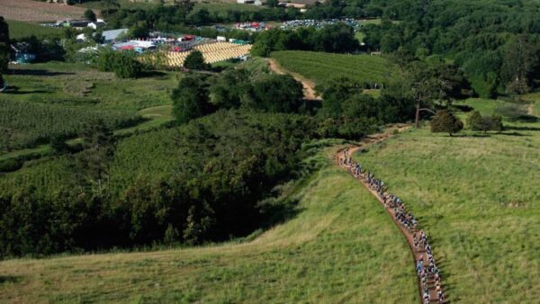 Stage Two of the FNB W2W MTB Adventure delivers riveting riding
