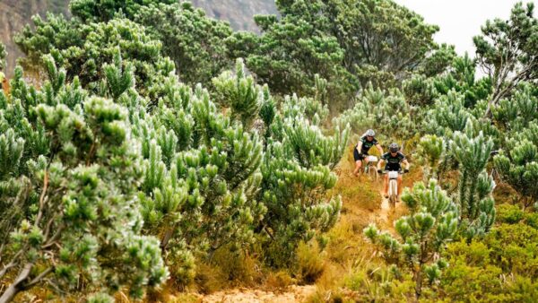Absa Cape Epic: Working on the Table Mountain trails