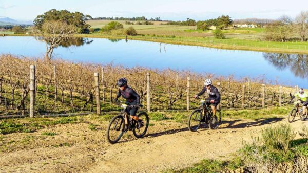 Fun riders enjoy the new venue for the Stellenbosch MTB Challenge