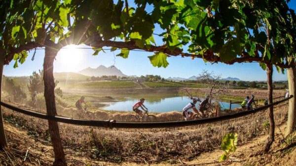 Fairtree Simonsberg Contour Early Bird entries close 31 December