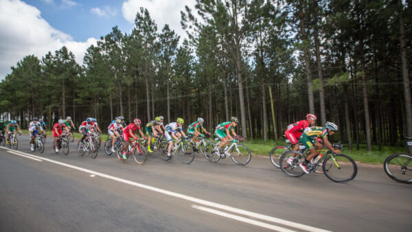 Expression of interest – Road World Champs Soigneur and Mechanic
