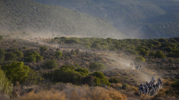 Sauser and Platt set to revive fierce rivalry at Attakwas