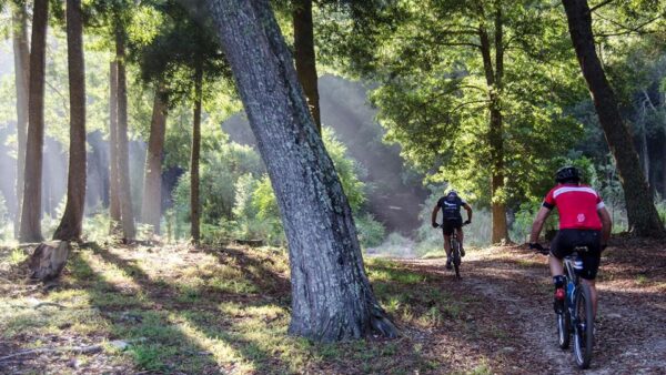 Gearing Up for the RECM Knysna 200