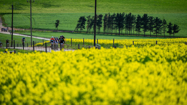 Staalwater produces another beautiful riding experience