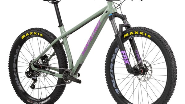 Santa Cruz revive the Chameleon