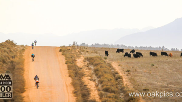 Entries for the Amarider 100Miler are open