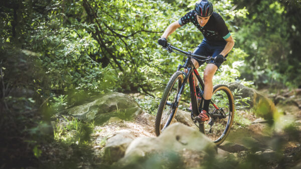 Lyne Components announce 2019 Alloy Wheelset Lineup