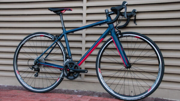 Review: Silverback Salice