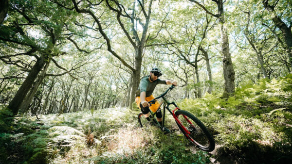 New Merida Big.Trail targets fun-packed hardtail trail riding
