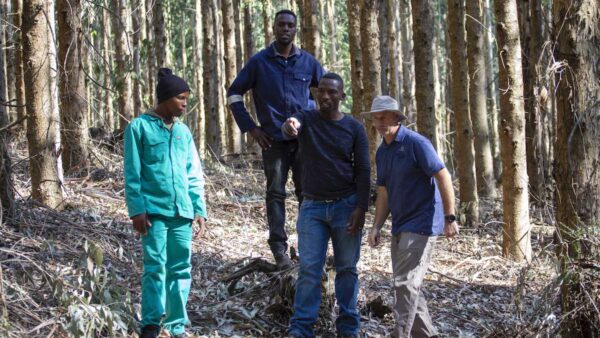 Nguni Trails breaking ground in KZN Midlands