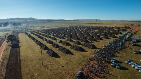 joBerg2C: The local race with a foreign flavour