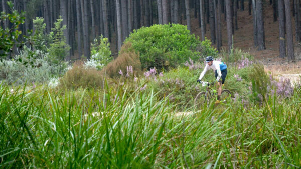 Mountain biking comes homes with the Garden Route 300