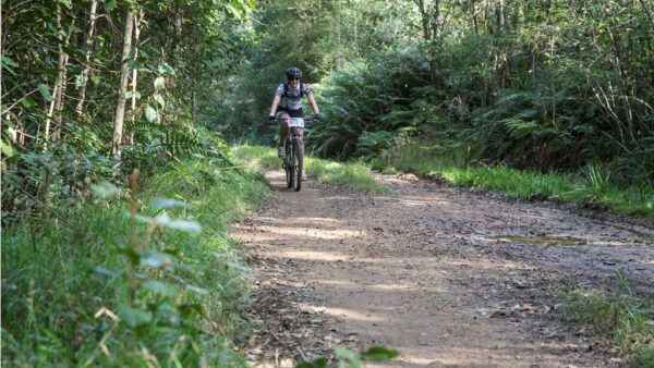 Regarding: The Amazing RECM Knysna 200