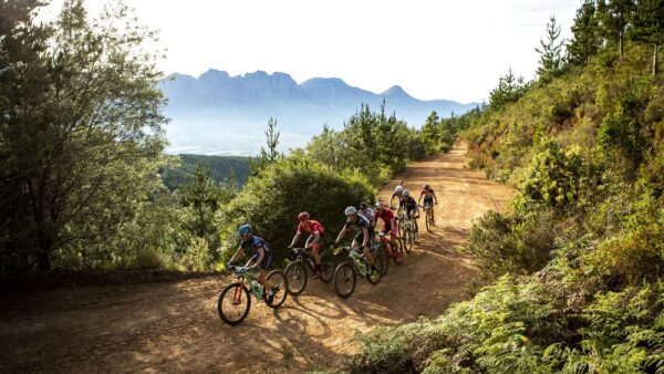 Wines2Whales Entries to open on today