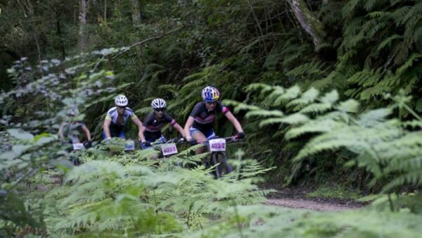 Garden Route Events remove the sting from the 2016 GR300