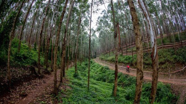 Entries for last round SA MTB Cup Series close midnight
