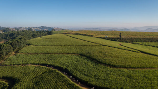 joBerg2c’s champagne ride through South Africa