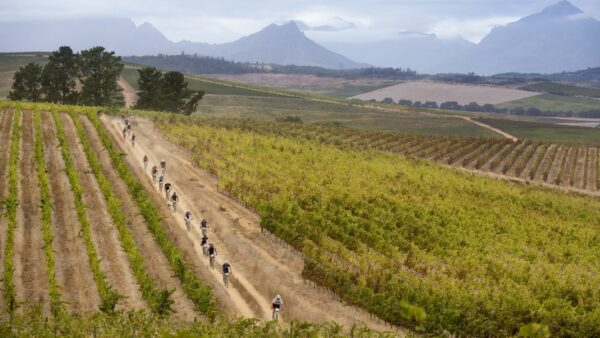 Howard Grotts and Jennie Stenerhag claim Cape Town Cycle Tour MTB Challenge titles