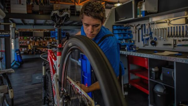 Survey: Bicycle mechanic training