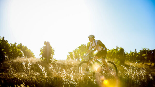 Fairtree Simonsberg Contour MTB is back and better than ever