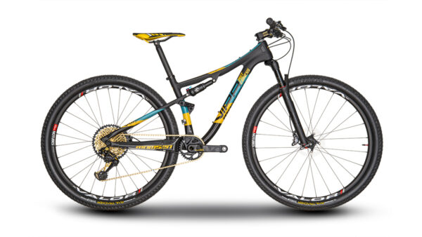 Bike Check: Hannele Steyn’s 2017 Momsen VIPA Custom “Last Lioness”
