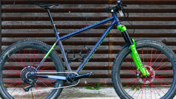 Review: DVO Diamond fork