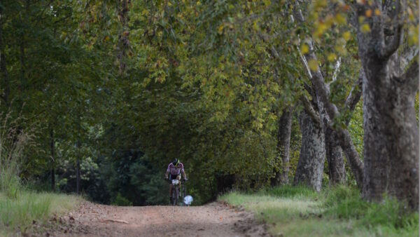 A sterling Sabie for Heyns