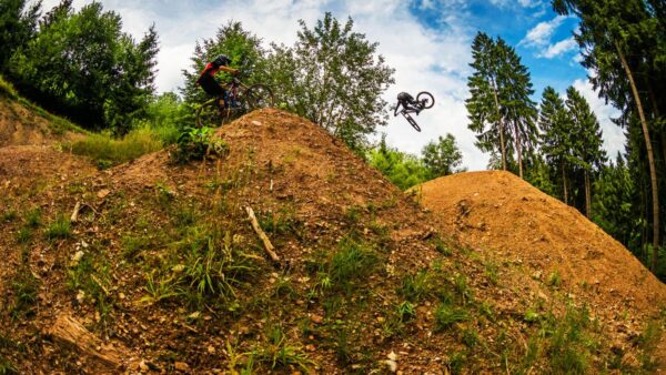 Loosefest 2017: Highlights and POV